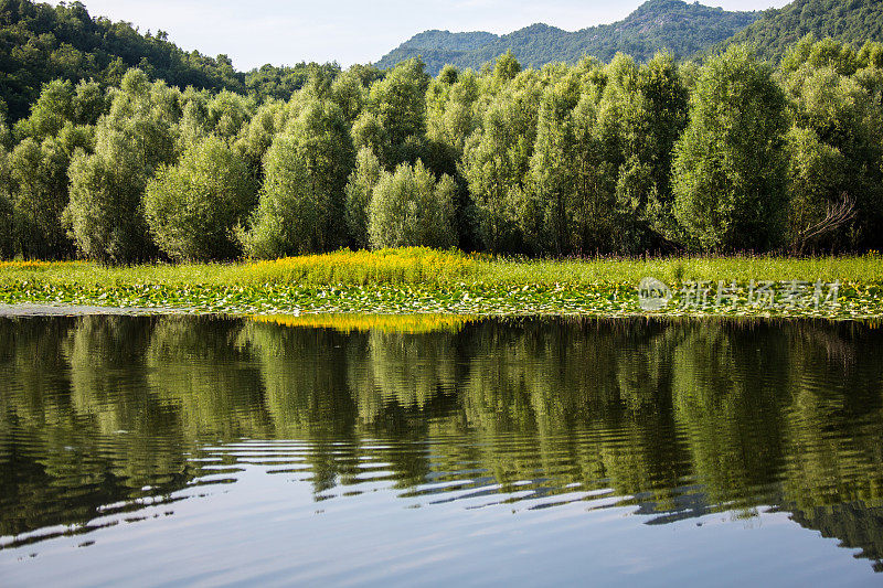 阿尔巴尼亚黑山的Shkodra Lake